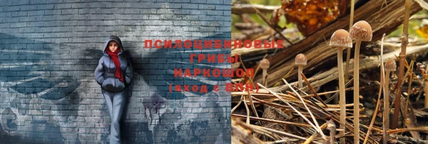 дистиллят марихуана Краснослободск