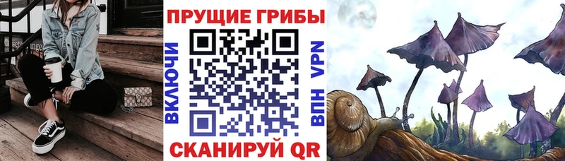 Галлюциногенные грибы мицелий  Купить где  Чита 
